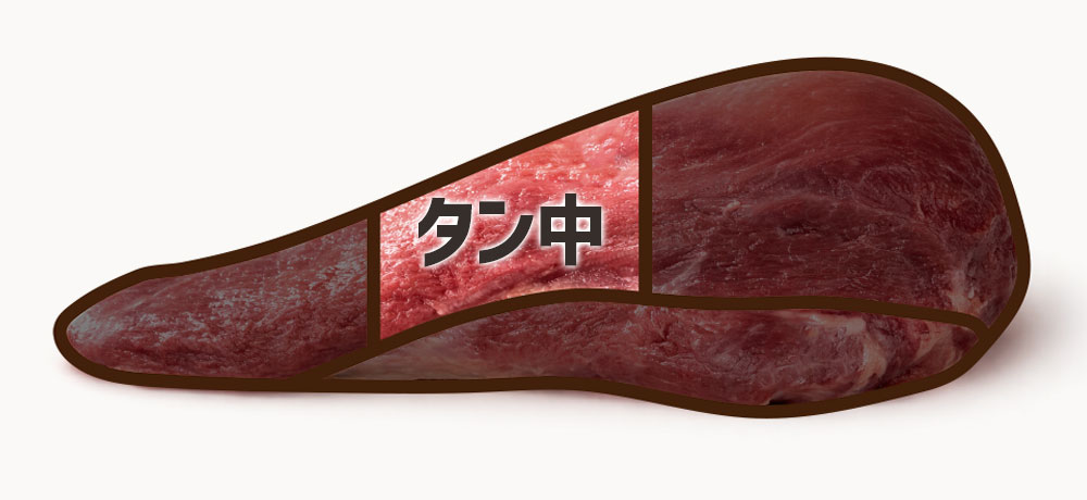 タン中の特徴｜適度な歯ごたえと旨味