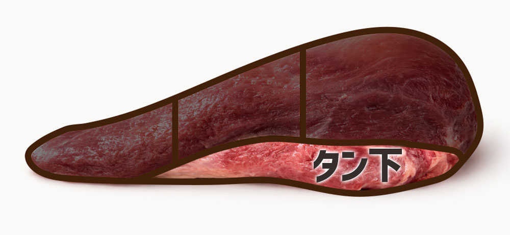 タン下の特徴｜筋が多くて硬いが濃厚