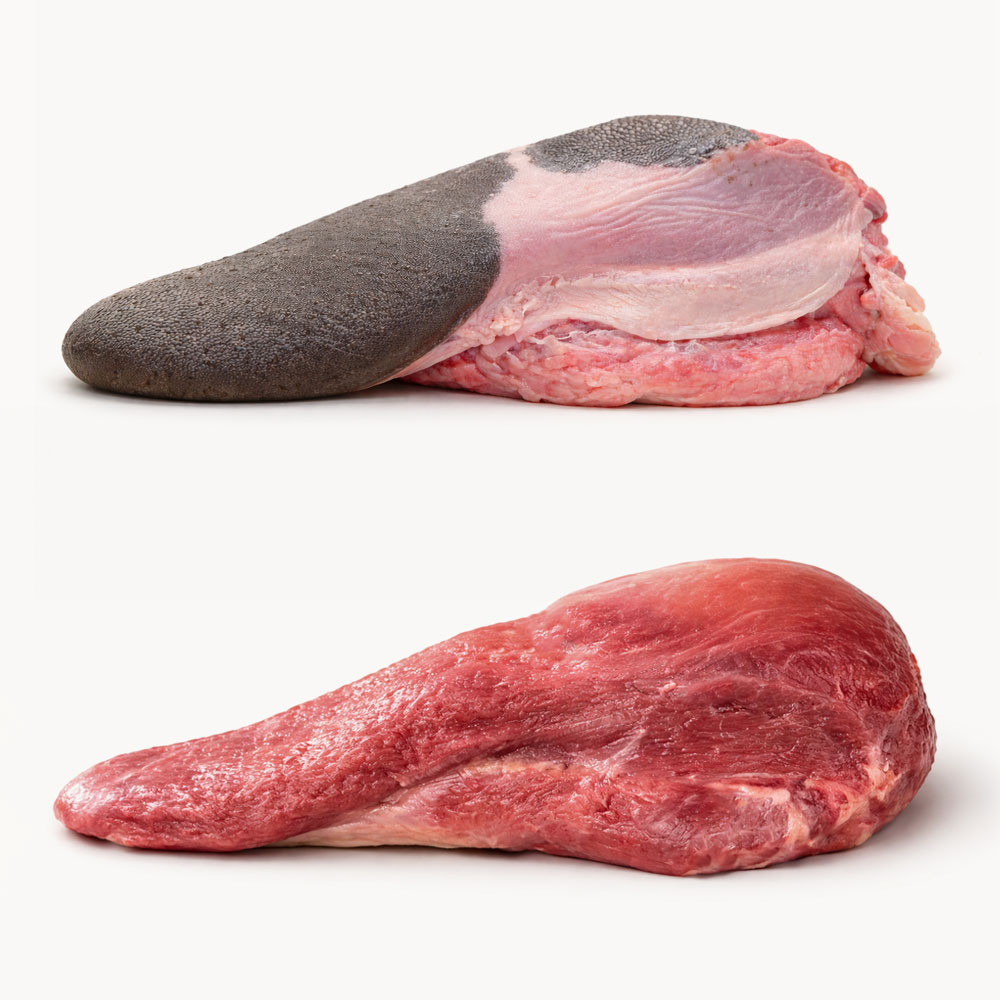 牛タンの部位構成と部位別の違い