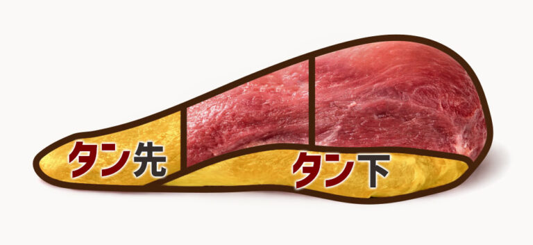 牛タンの4つの部位の特徴まとめ!それぞれの違いを最短で理解|食ノート