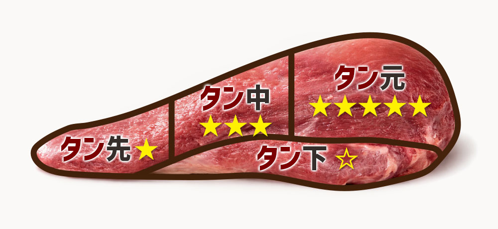 牛タンの部位のやわらかさ（食感）の違い