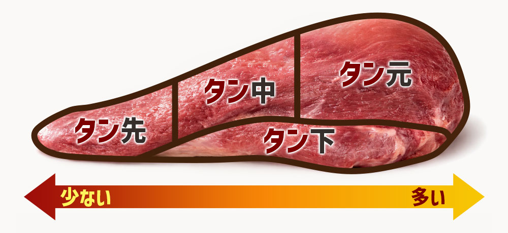 脂の量と旨味に差が出る牛タン部位