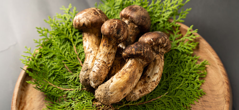 会席料理は格式が低いという誤解