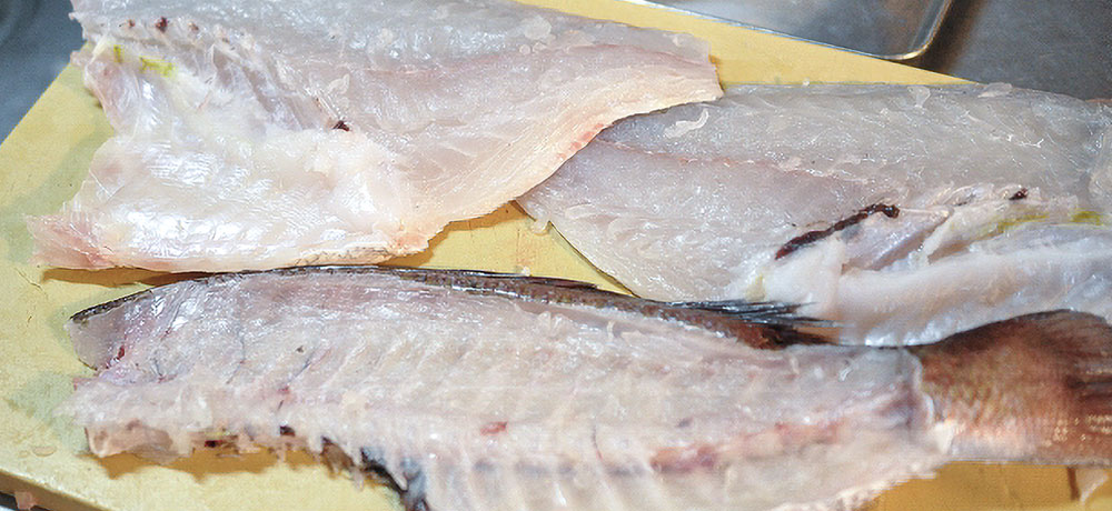 養殖鯛の脂肪分