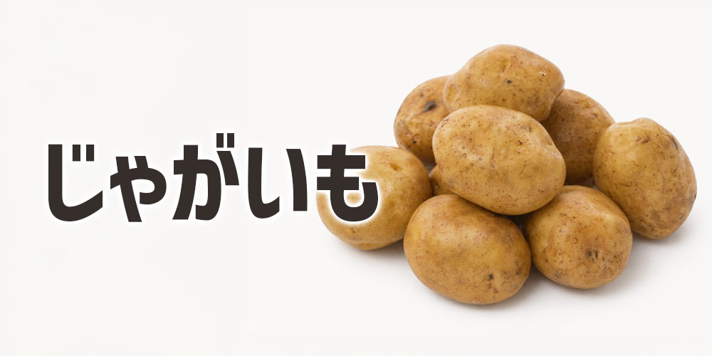 普通のじゃがいも（貯蔵じゃが）を知る