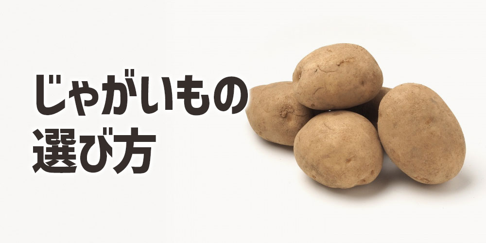 普通のじゃがいもの選び方
