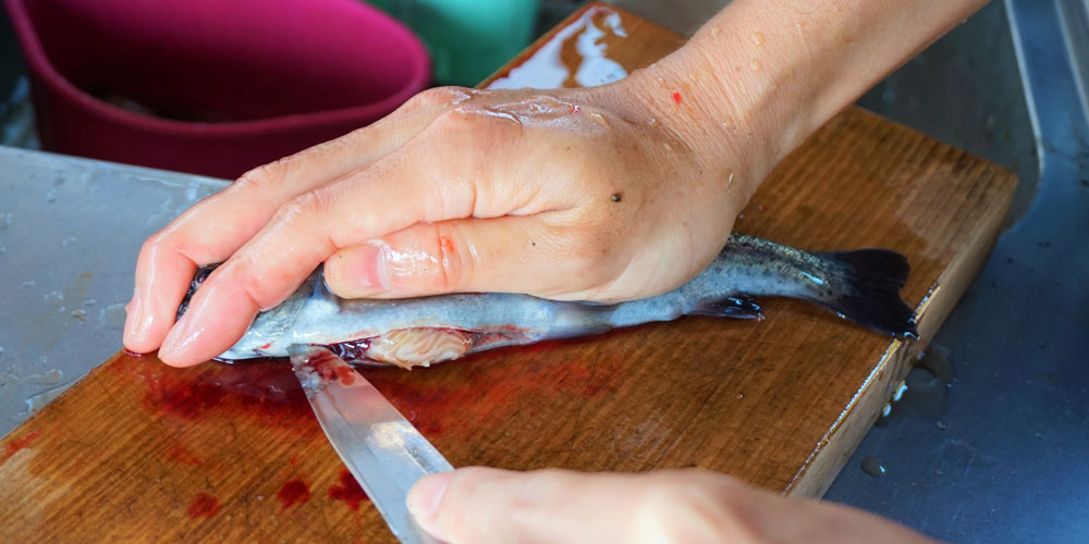 管理釣り場のニジマスを刺身として食べるための注意点