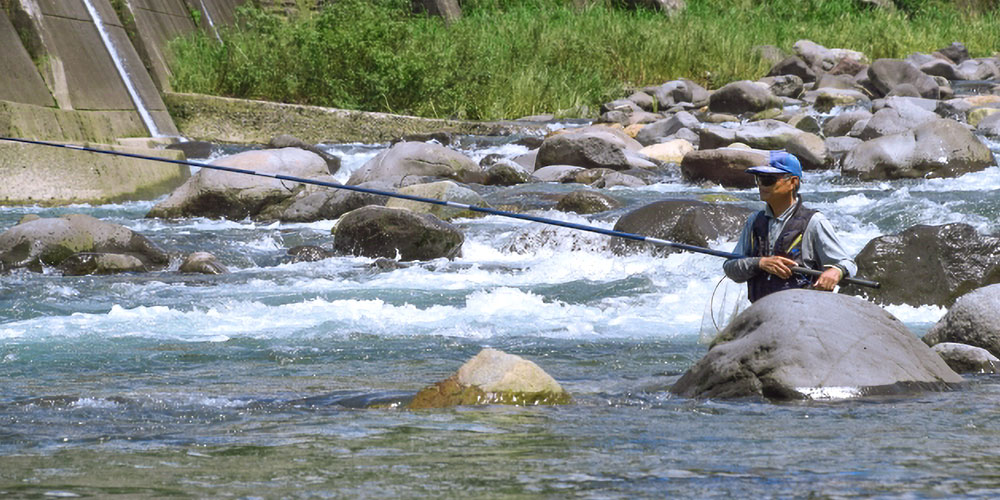 ニジマス流出が長良川の生態系に与える影響