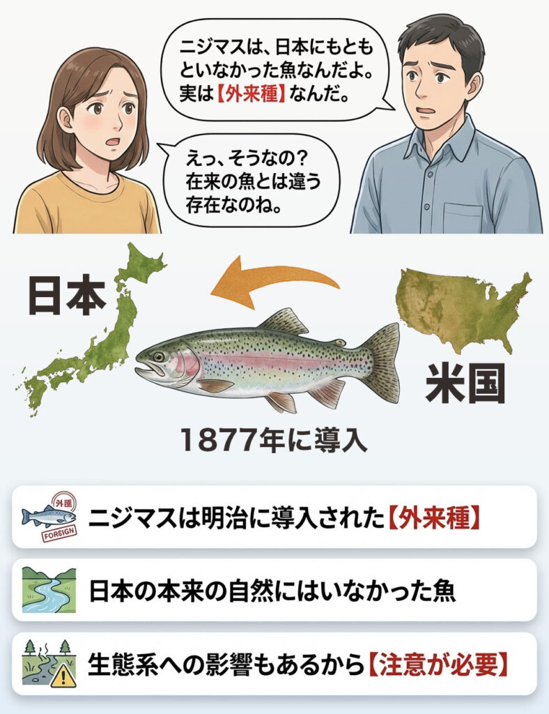 ニジマスは日本古来の「在来種」ではなく、「外来種」です。