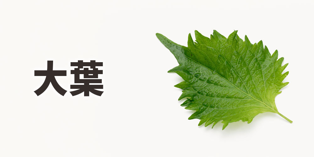 大葉（おおおば）