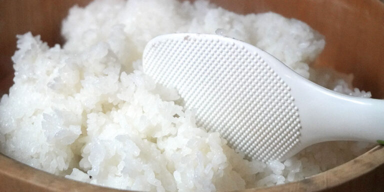 酢の種類と違いを簡単解説!正しい使い分けもわかる完全ガイド|食ノート