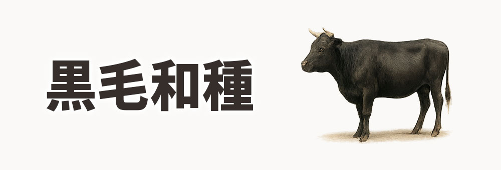 黒毛和種（くろげわしゅ）