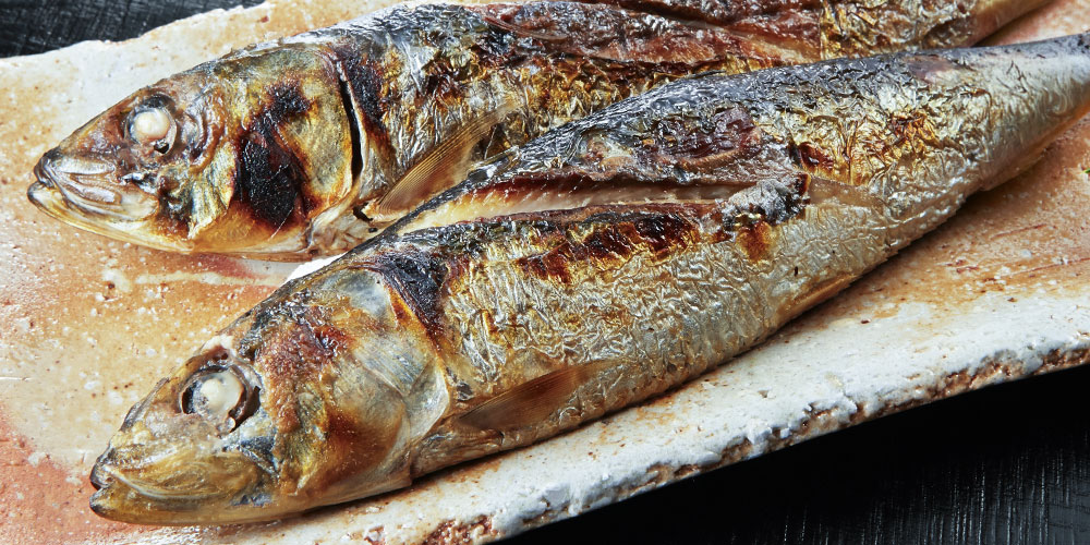 イワシとアジの味の傾向と脂の違い