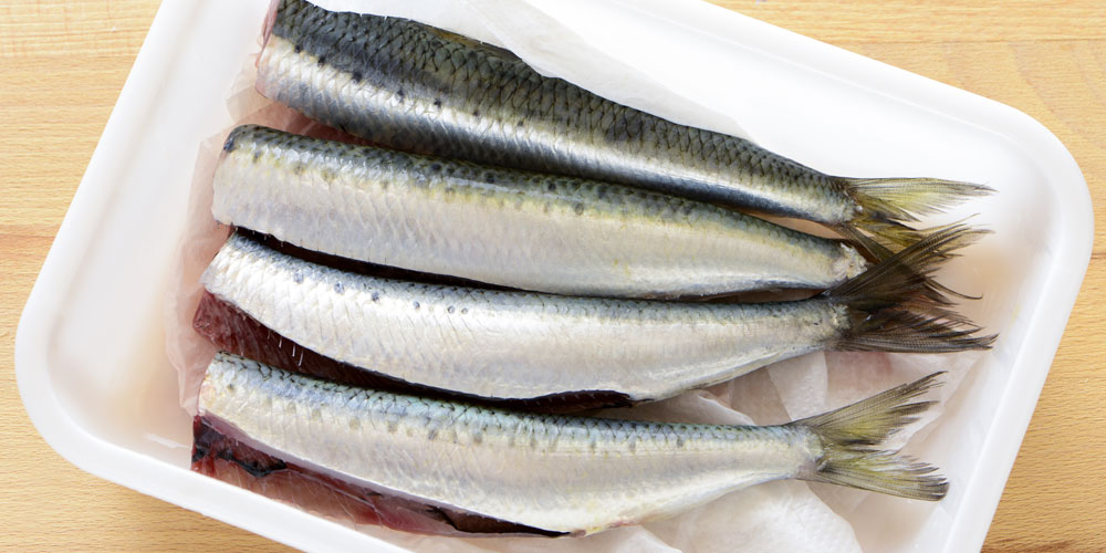 イワシの保存方法