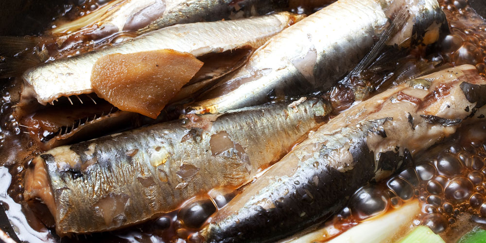 鮮度によって変わるイワシとアジの味の差