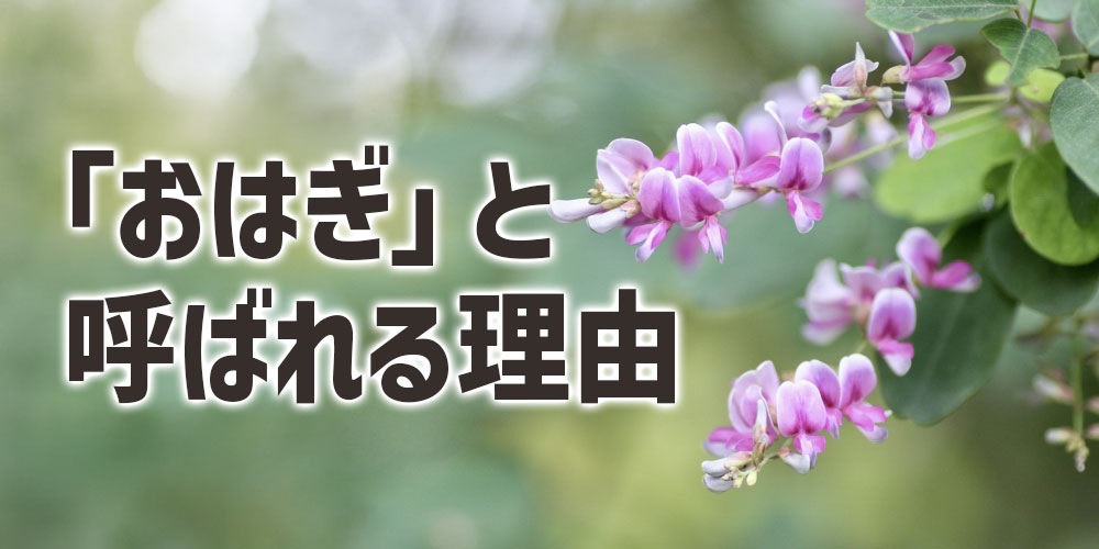 秋は「おはぎ」と呼ばれる理由