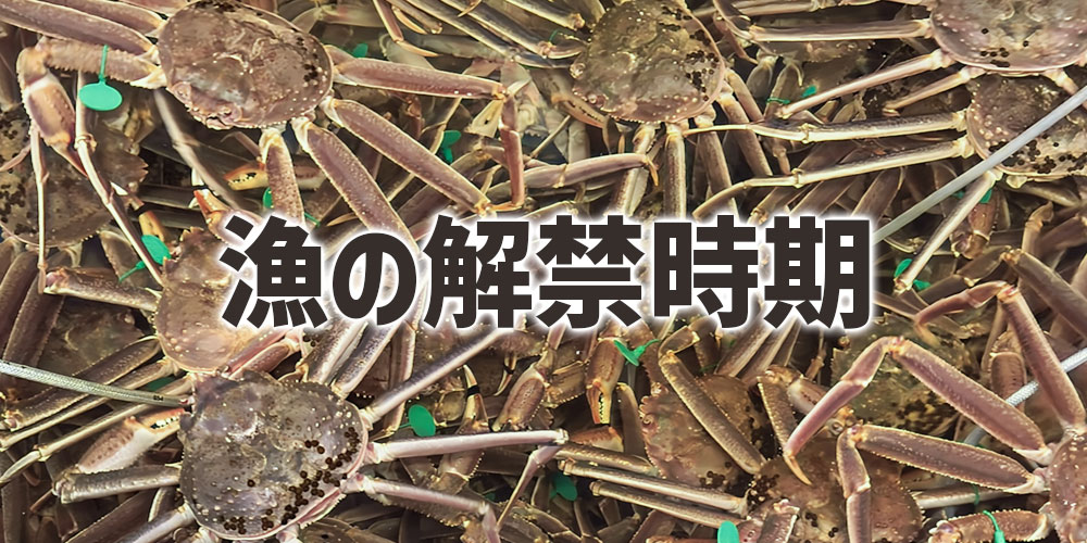ズワイガニの旬と漁の解禁時期の関係