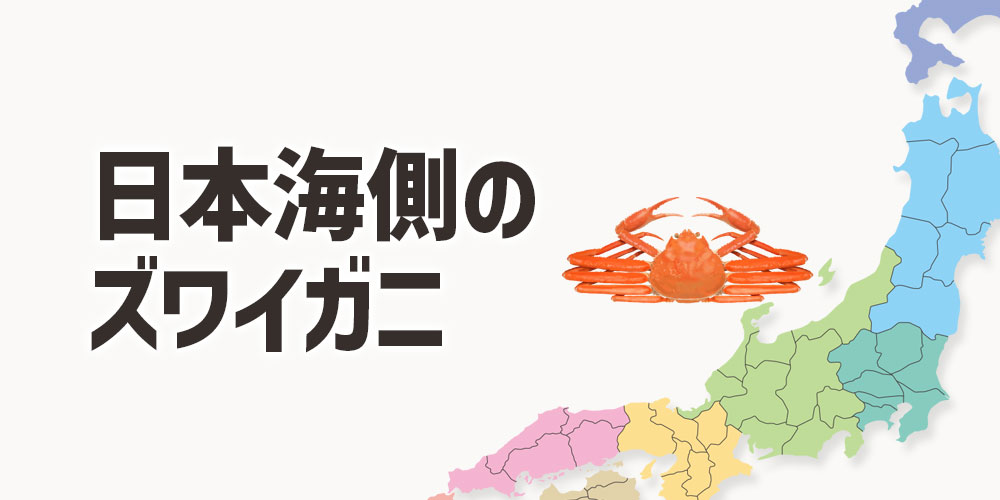 日本海側産のズワイガニの旬と漁期