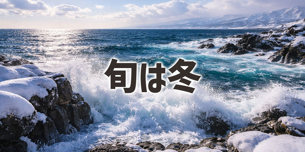 ズワイガニの旬は冬が中心といわれる理由