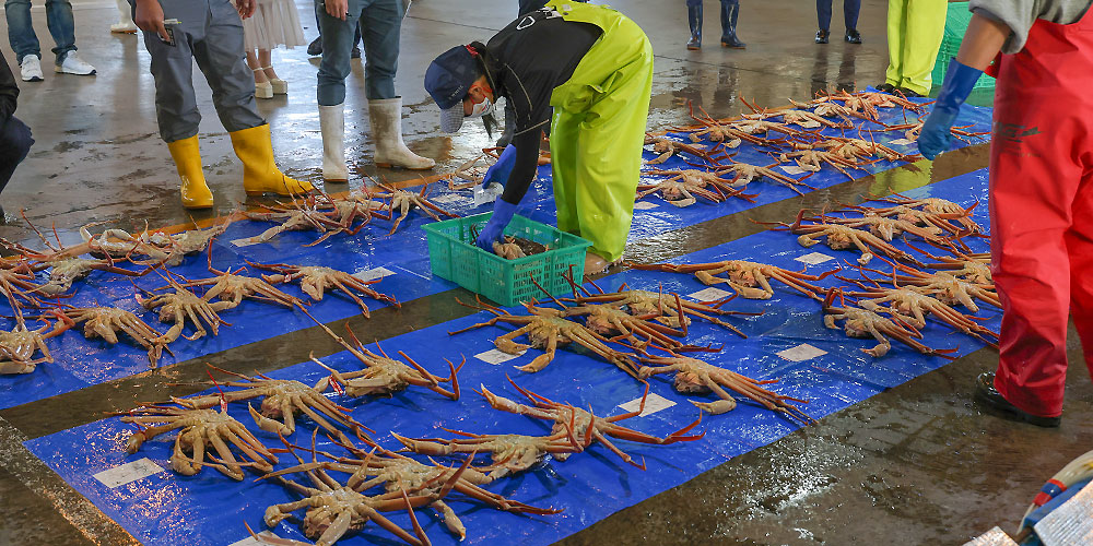 旬の初めに価格が高くなりやすい理由