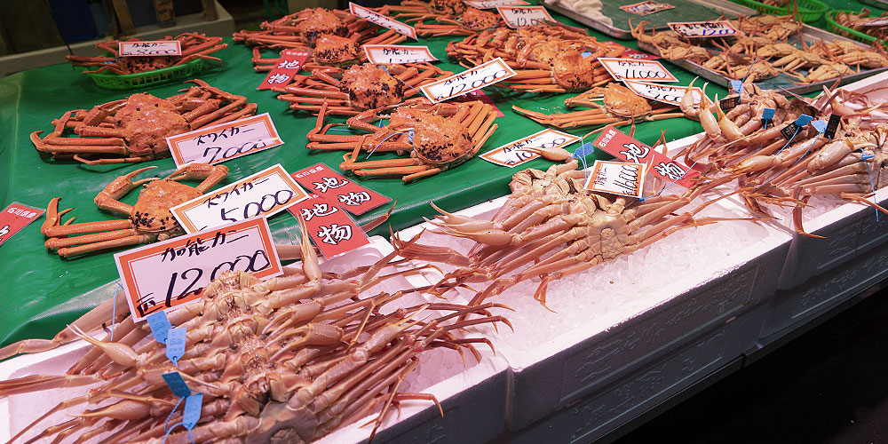 シーズン中盤以降に価格が落ち着く理由