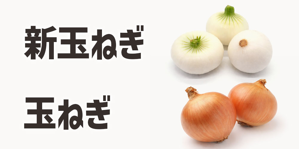 新玉ねぎと玉ねぎの違いを比較