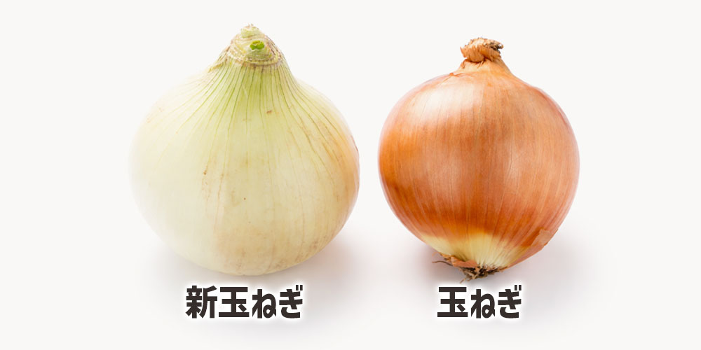 新玉ねぎと玉ねぎの見た目の違い