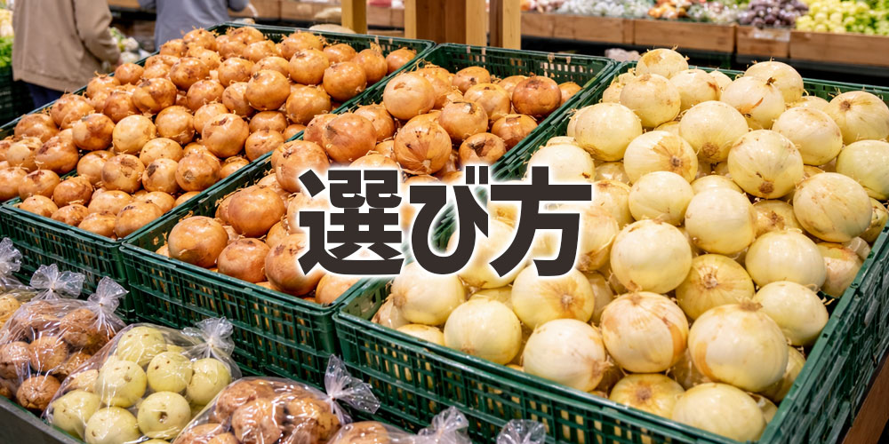 新鮮な新玉ねぎと玉ねぎの選び方