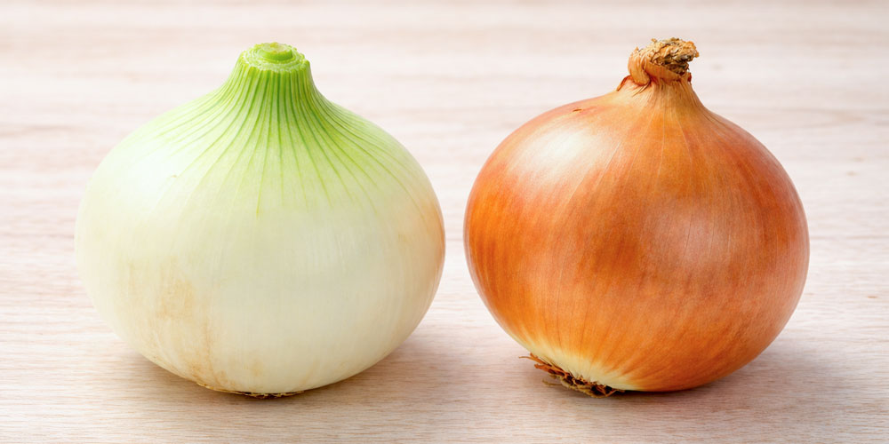 新玉ねぎと玉ねぎの違いをやさしく解説:まとめ