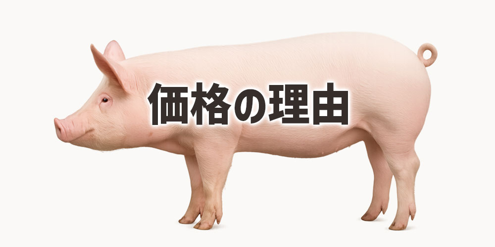 豚ロース肉と豚ヒレ肉の価格の違いはなぜ生まれる?