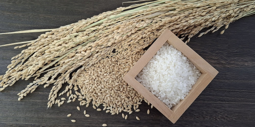 日本で「ご飯粒を残さない」と言われる理由