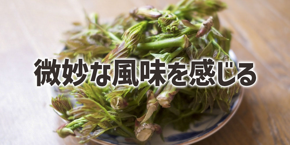 微妙な風味を感じやすくする塩の役割