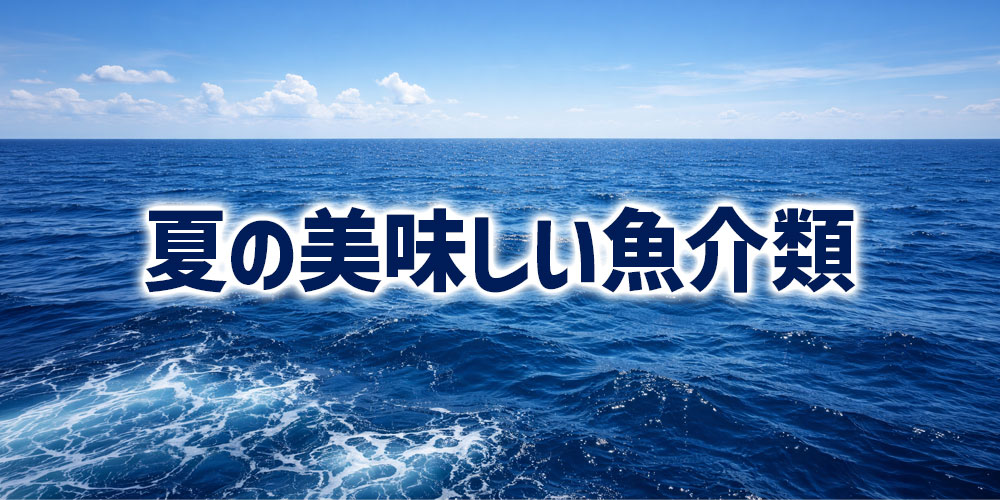 夏も魚介類が美味しい季節
