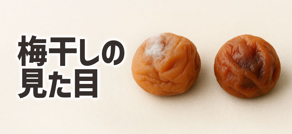 梅干しの見た目