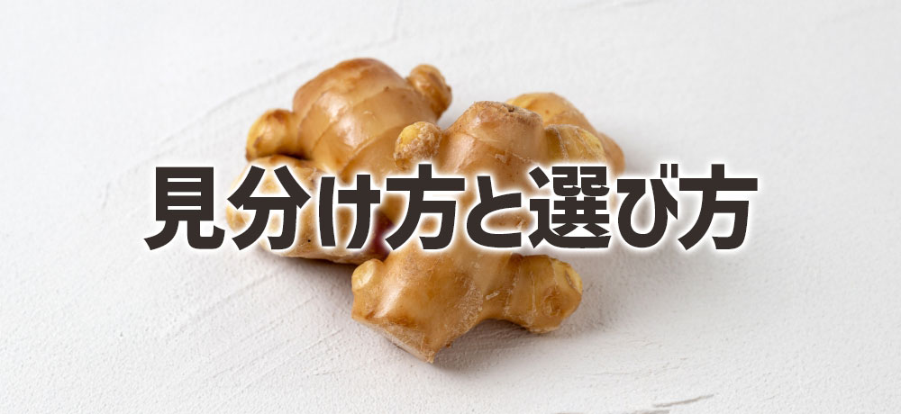 鮮度がいい生姜の見分け方と選び方
