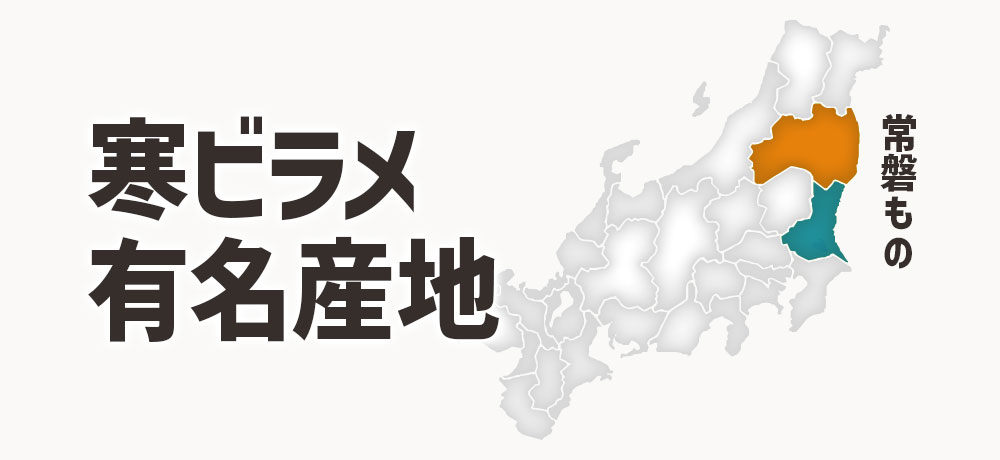 “寒ビラメ”の有名産地