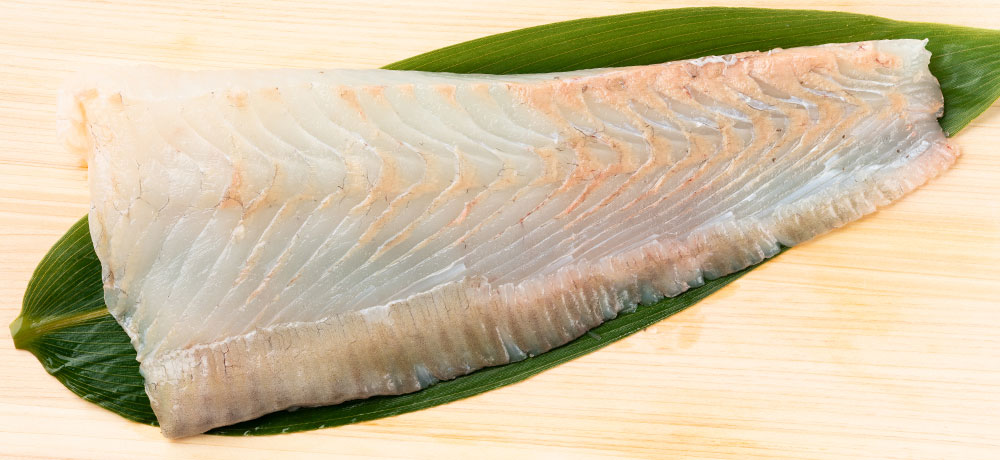 お刺身やパック（切り身）に入っているヒラメの選び方