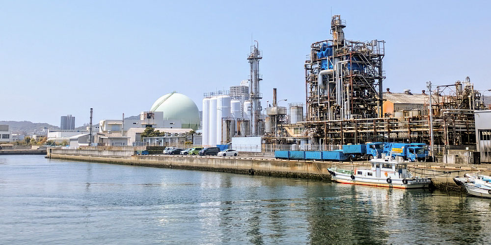 黒鯛は環境で味が変わる