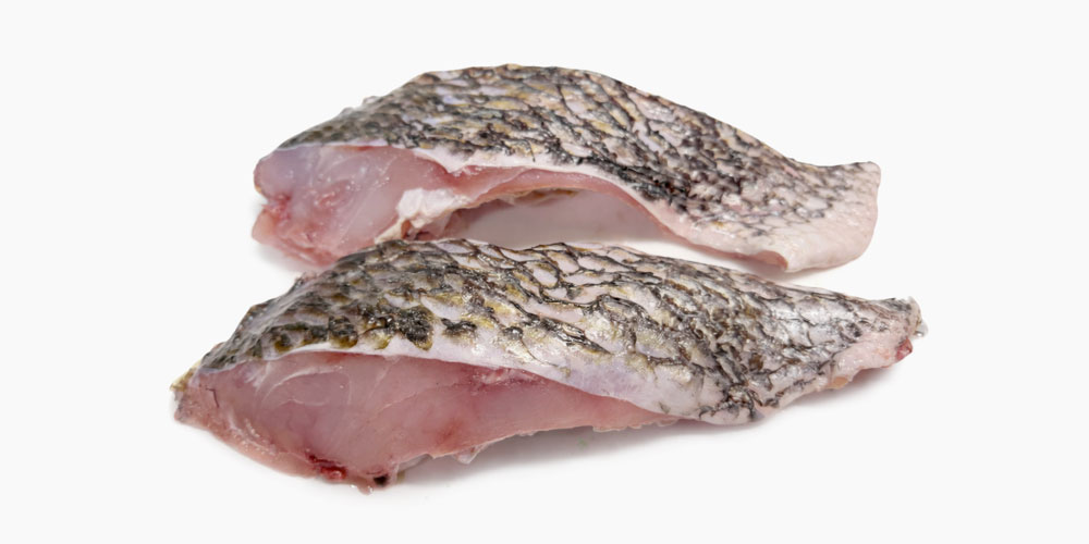 黒鯛が安い理由