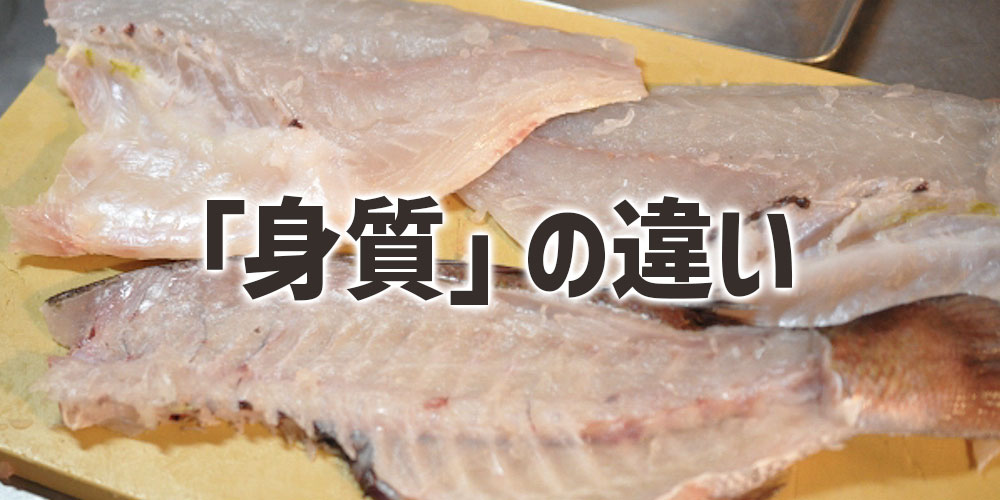 真鯛と黒鯛の「身質」の違い