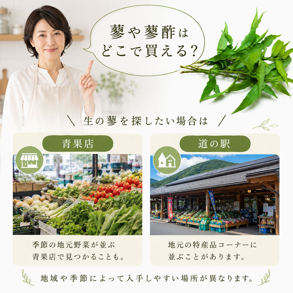 蓼や蓼酢はどこで買える？