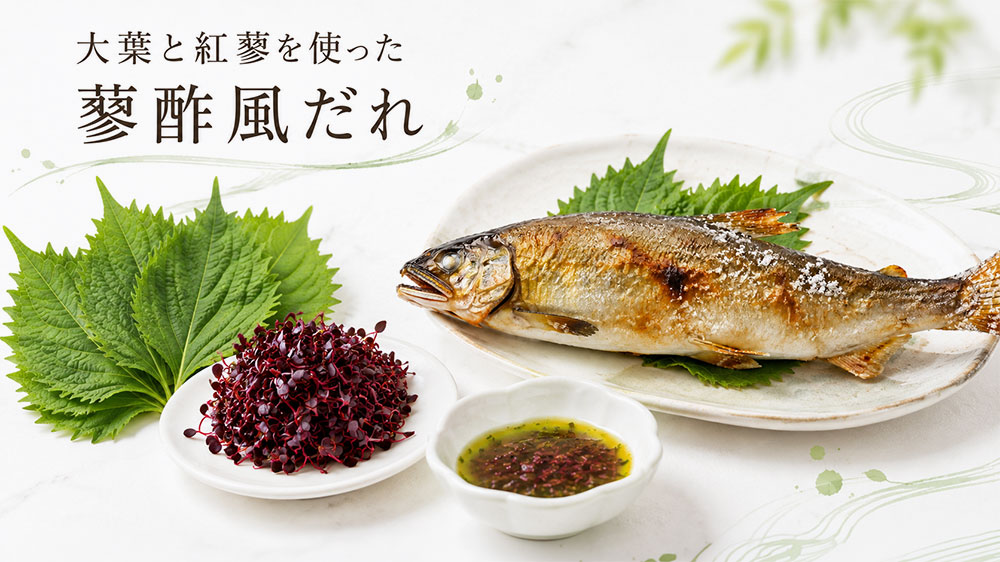大葉と紅蓼を使った蓼酢風だれ