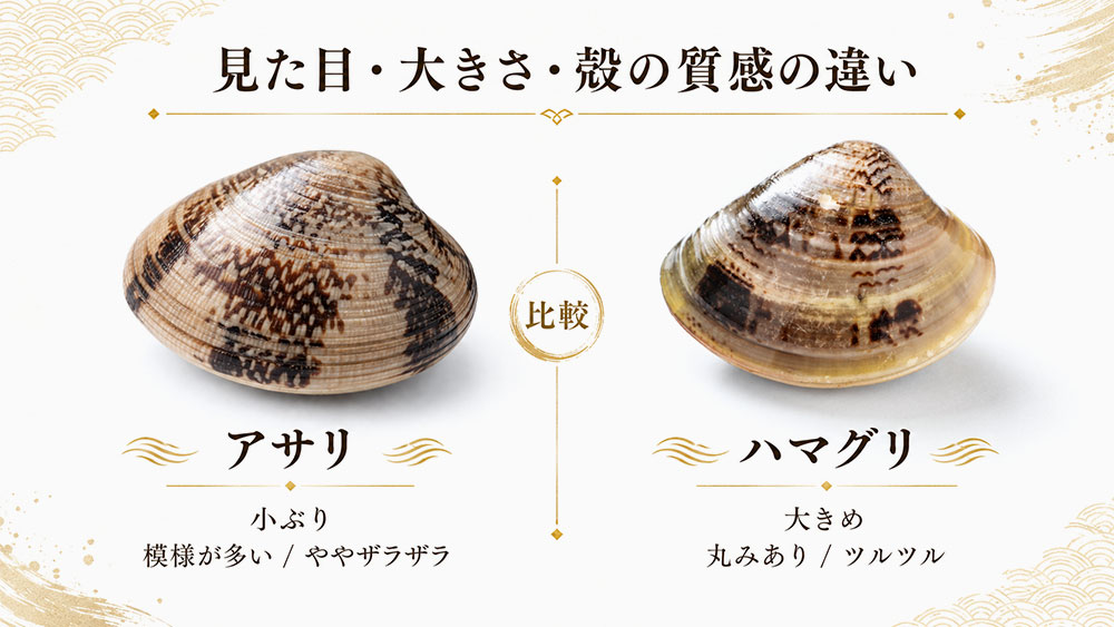 見た目・大きさ・殻の質感の違い