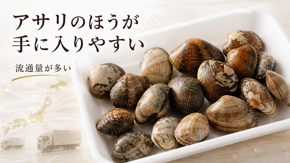年間を通して手に入りやすいのはどっち？
