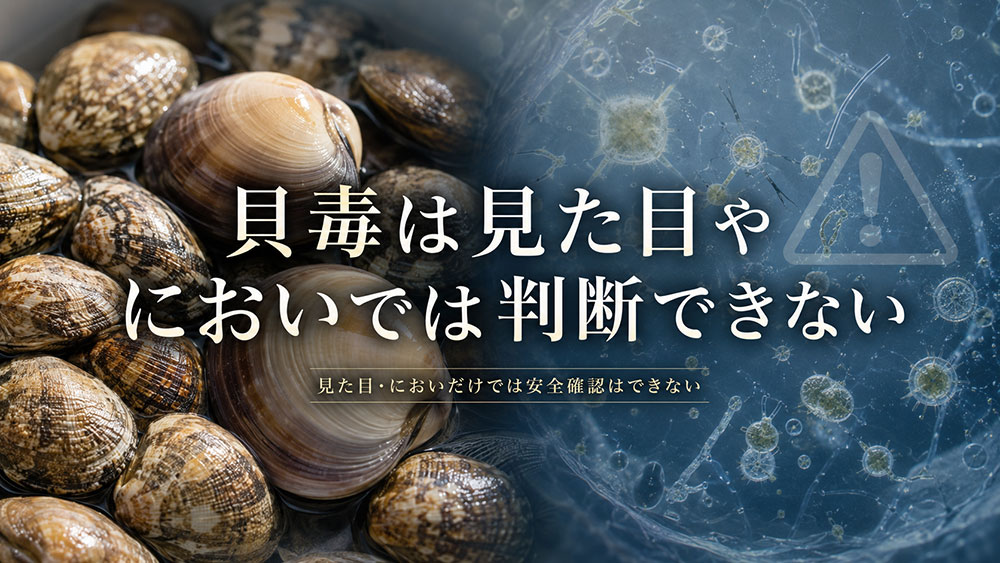 貝毒は見た目やにおいでは判断できない