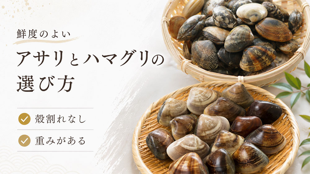 鮮度のよいアサリとハマグリの選び方