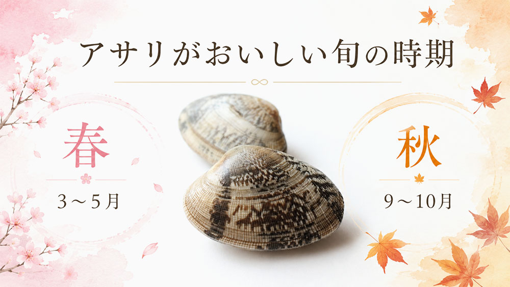 アサリがおいしい旬の時期