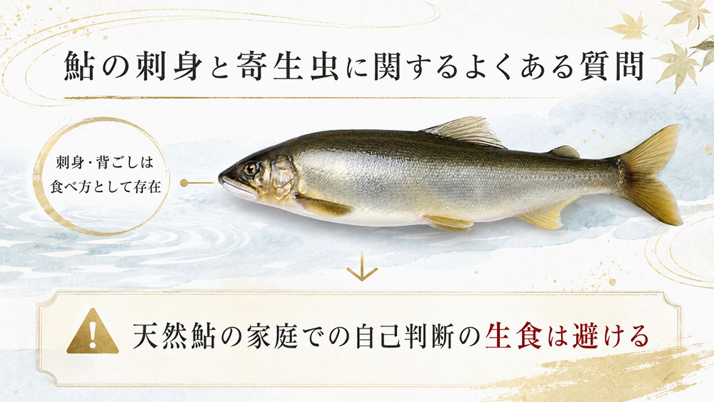 鮎の刺身と寄生虫に関するよくある質問