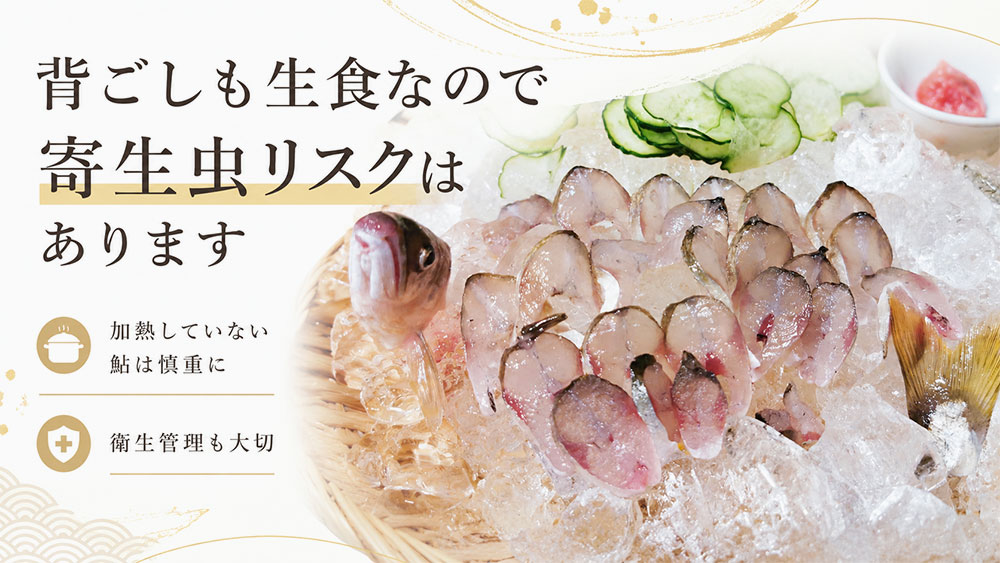 背ごしも生食なので寄生虫リスクはあります