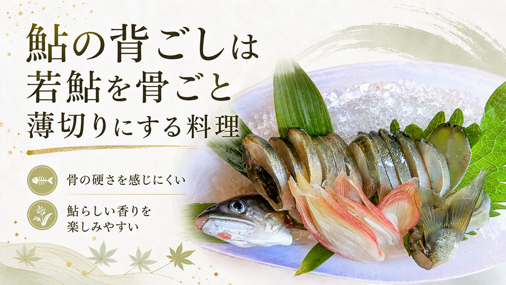 鮎の背ごしは若鮎を骨ごと薄切りにする料理
